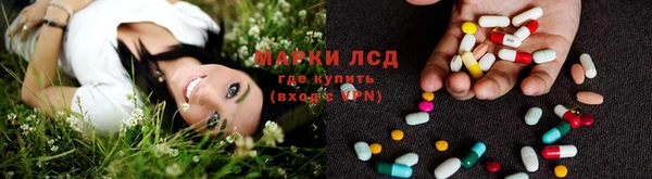 сатива Абаза