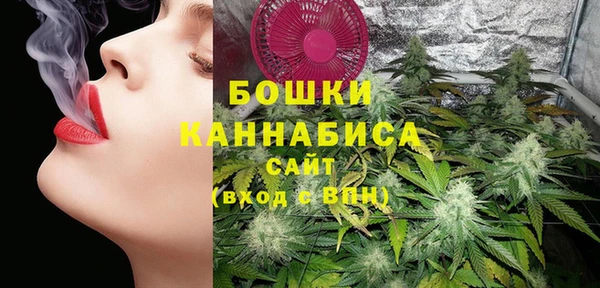 сатива Абаза