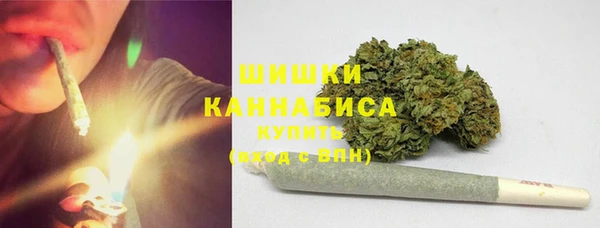 сатива Абаза