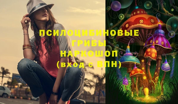 сатива Абаза