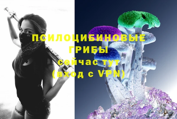 ешки Абдулино