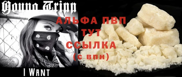 сатива Абаза